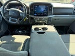 2025 F-150 Thumbnail 10