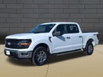 2025 F-150 Thumbnail 4