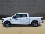 2025 F-150 Thumbnail 5