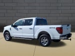 2025 F-150 Thumbnail 6