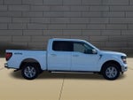 2025 F-150 Thumbnail 9