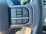 2025 F-150 Thumbnail 20