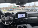 2025 F-150 Thumbnail 8