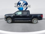 2025 F-150 Thumbnail 7