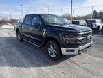 2025 F-150 Thumbnail 11