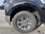 2025 F-150 Thumbnail 20