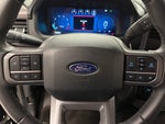 2025 F-150 Thumbnail 13