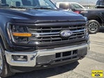 2025 F-150 Thumbnail 2