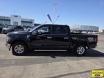 2025 F-150 Thumbnail 4