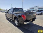 2025 F-150 Thumbnail 5