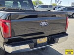 2025 F-150 Thumbnail 6