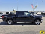 2025 F-150 Thumbnail 8