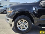 2025 F-150 Thumbnail 10