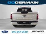 2025 F-150 Thumbnail 10