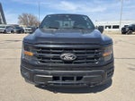 2024 F-150 Thumbnail 5