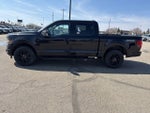 2024 F-150 Thumbnail 7