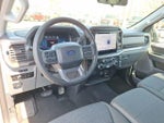 2025 F-150 Thumbnail 7
