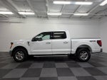2025 F-150 Thumbnail 4