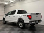 2025 F-150 Thumbnail 6