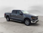 2025 F-150 Thumbnail 3