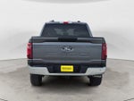 2025 F-150 Thumbnail 6