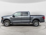 2025 F-150 Thumbnail 8
