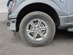 2025 F-150 Thumbnail 9