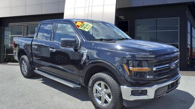 Preowned 2025 Ford F-150 XLT for Sale