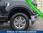 2025 F-150 Thumbnail 11