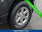 2025 F-150 Thumbnail 12