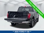 2025 F-150 Thumbnail 13