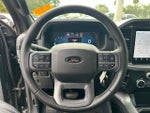 2025 F-150 Thumbnail 17