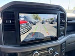 2025 F-150 Thumbnail 18