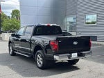2025 F-150 Thumbnail 1
