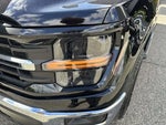 2025 F-150 Thumbnail 3