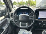 2025 F-150 Thumbnail 6