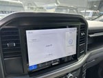 2025 F-150 Thumbnail 19