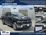 2025 F-150 Thumbnail 28