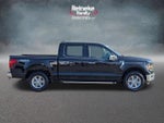 2024 F-150 Thumbnail 4