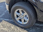2024 F-150 Thumbnail 25