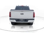 2024 F-150 Thumbnail 6