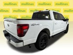 2024 F-150 Thumbnail 4