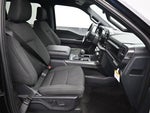2024 F-150 Thumbnail 7
