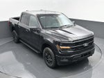 2024 F-150 Thumbnail 19