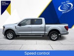 2024 F-150 Thumbnail 7