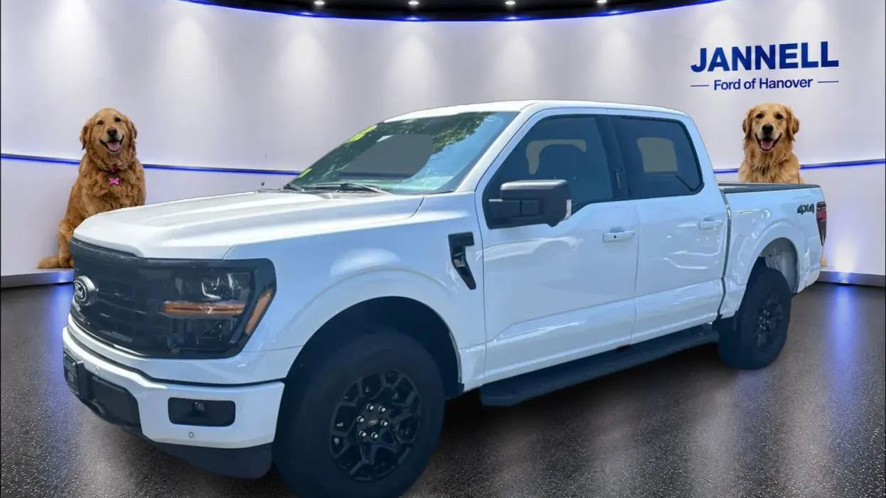 Preowned 2024 Ford F-150 XLT for Sale