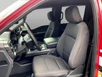 2024 F-150 Thumbnail 9