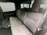 2024 F-150 Thumbnail 21