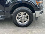 2024 F-150 Thumbnail 8