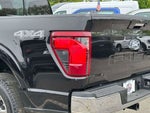 2024 F-150 Thumbnail 10